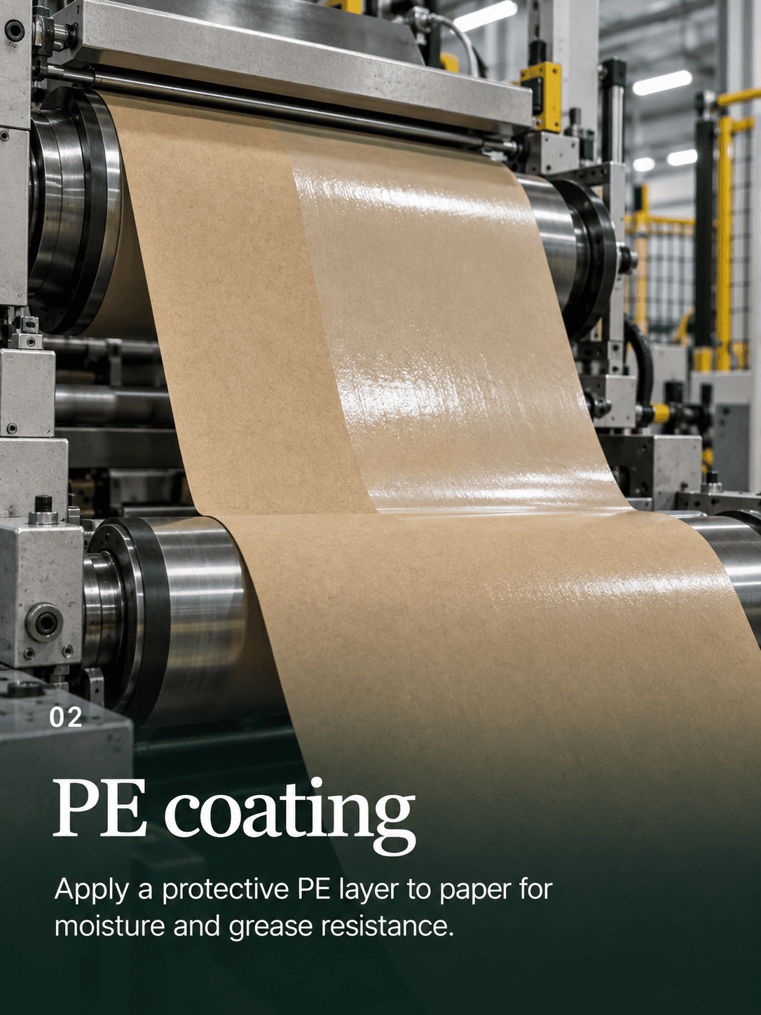 PE Coating for Food Packaging: How to Specify It