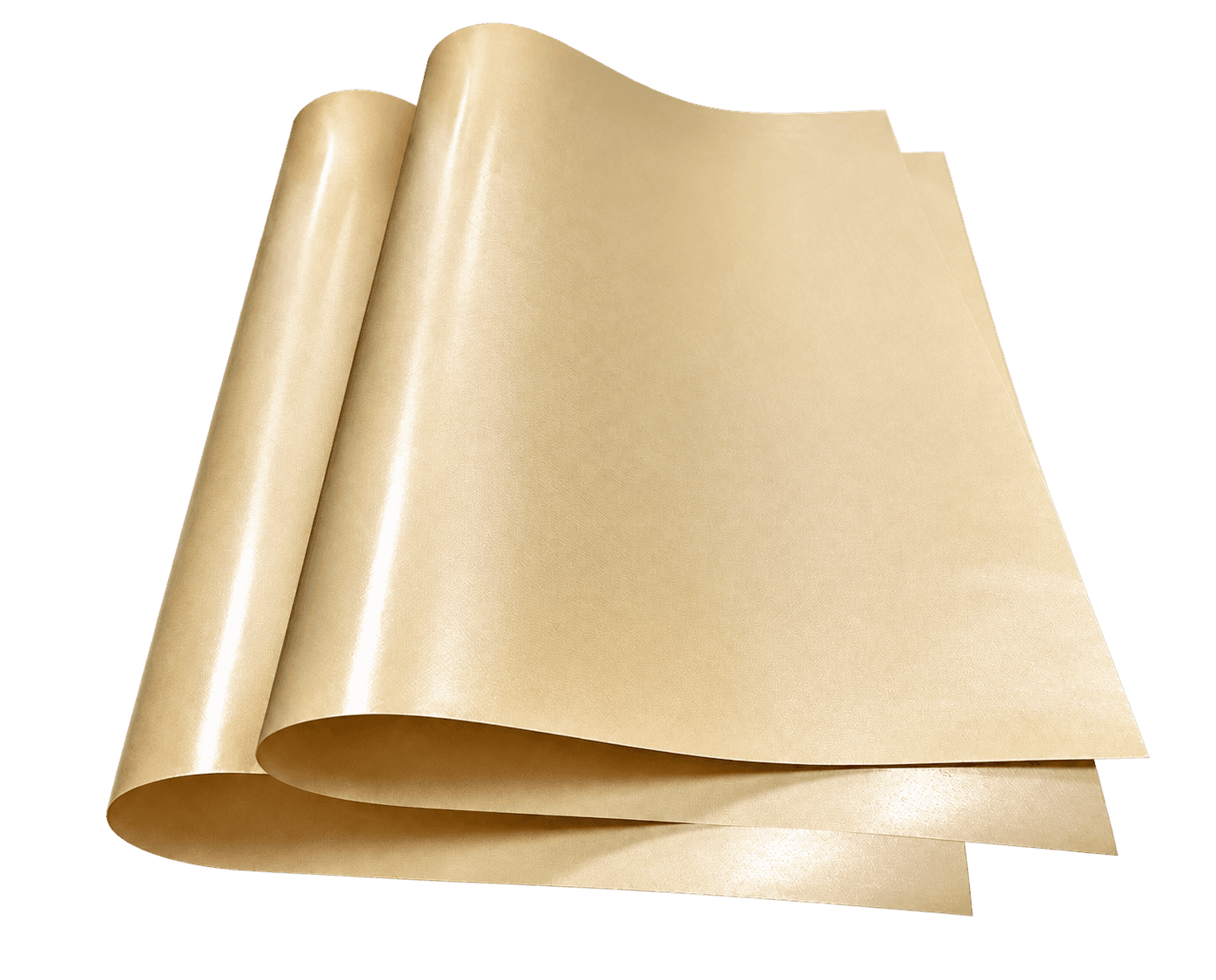 PE Coating & Lamination Solutions supplied by YoungSun