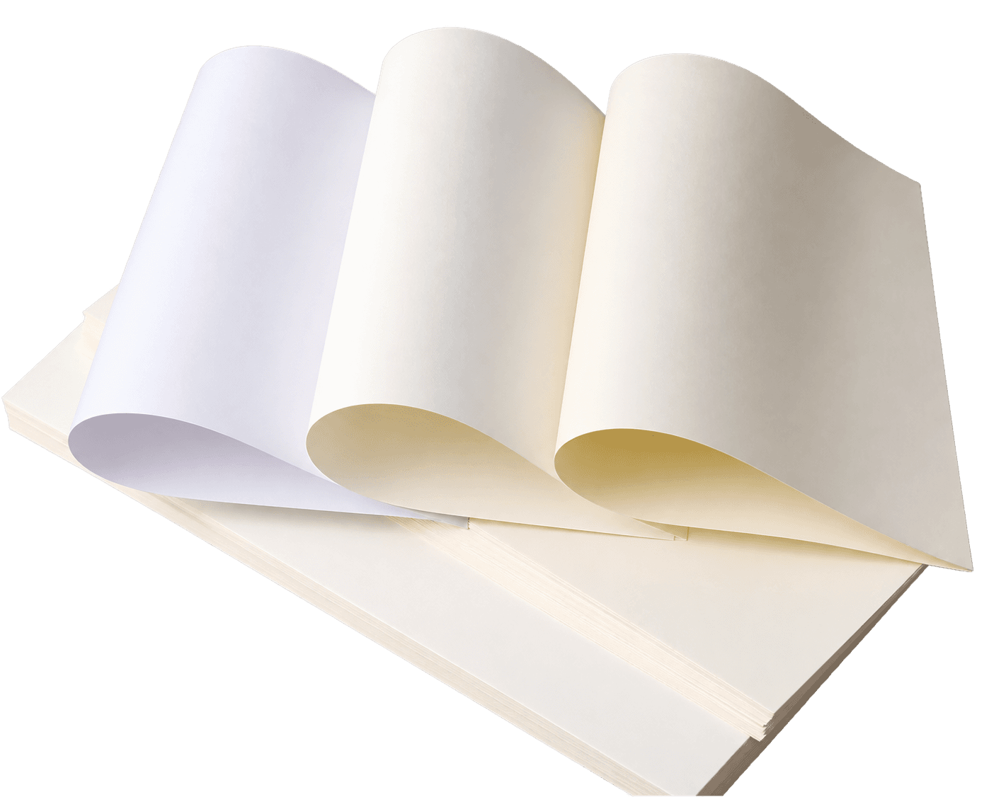 Woodfree Offset Paper supplied by YoungSun