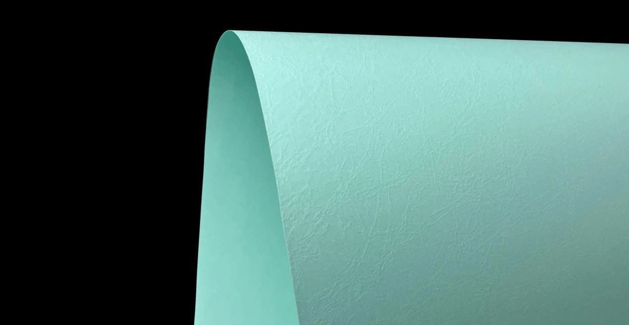 Relief — actual embossed paper sample