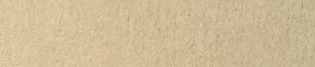 Sand Yellow actual Sharon Paper colour swatch