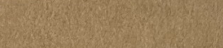 Wheat actual Sharon Paper colour swatch