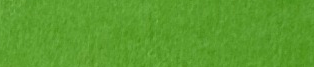 Light Green actual Sharon Paper colour swatch