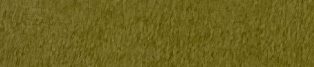 Camphor Green actual Sharon Paper colour swatch